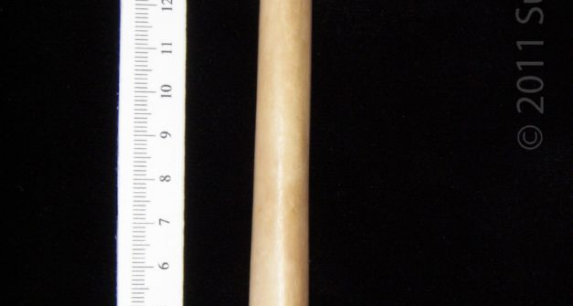 Anterior View Left Bobcat Femur